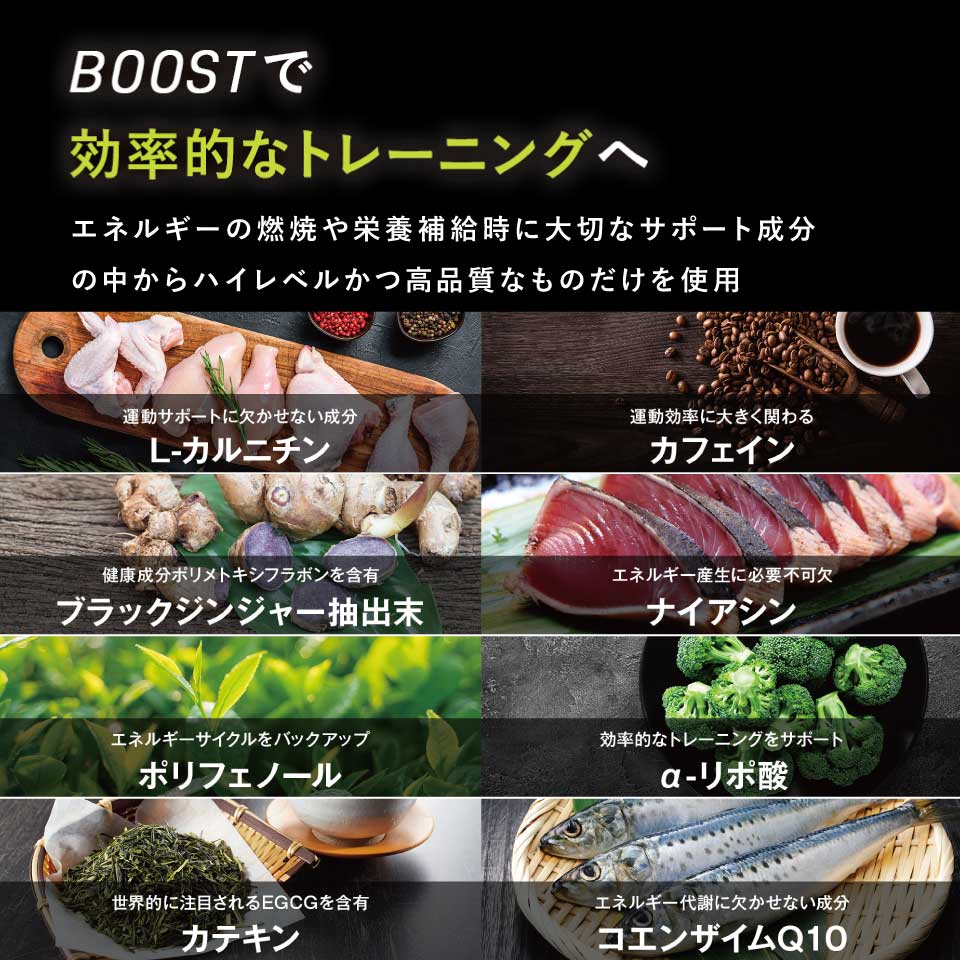 FITBOX BOOST サプリメント